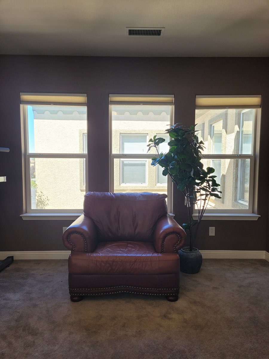 Furnished Finder property 541126_1 photo 21
