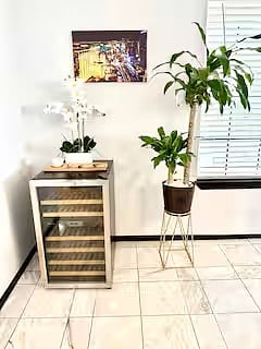 Wine fridge 