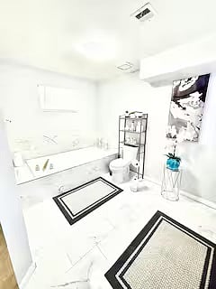 Master Bathroom tub 