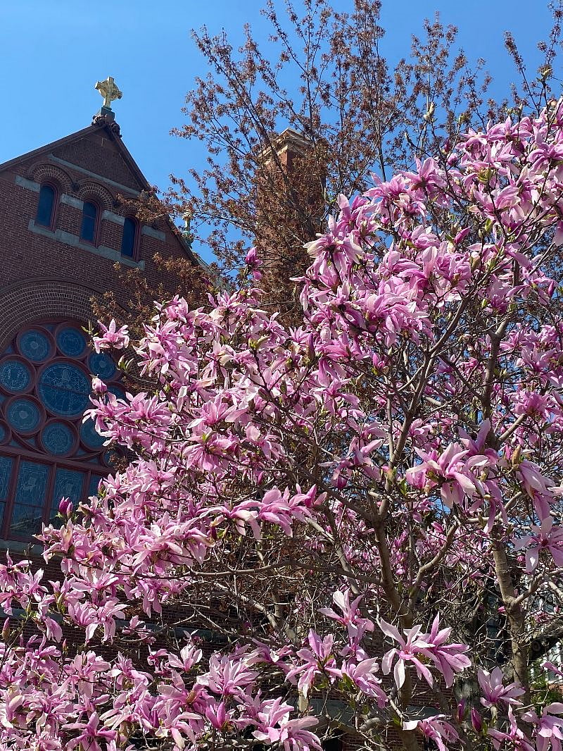 Spring time