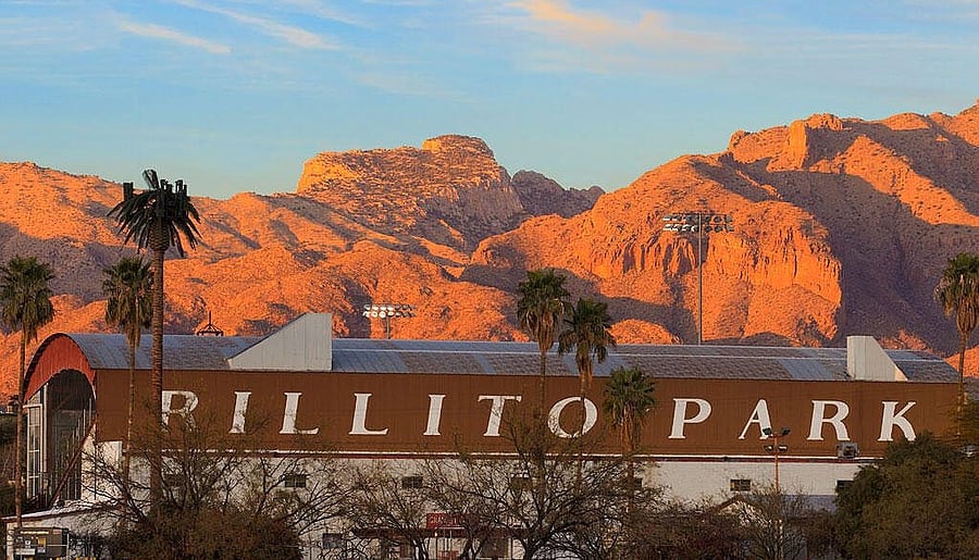 Rillito Park, farmers' market on Sunday