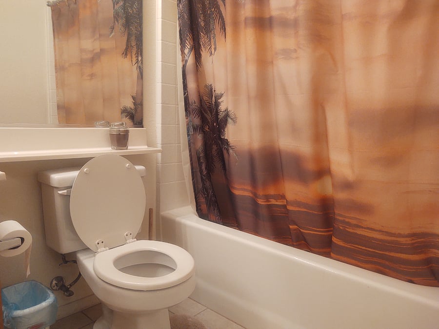Furnished Finder property 541164_1 photo 15