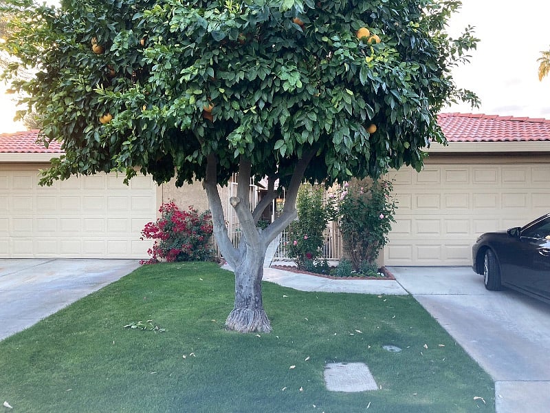 Furnished Finder property 541288_1 photo 3