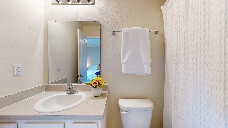 Furnished Finder property 541300_1 photo 18
