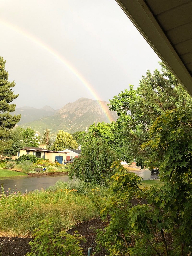 Front yard rainstorm