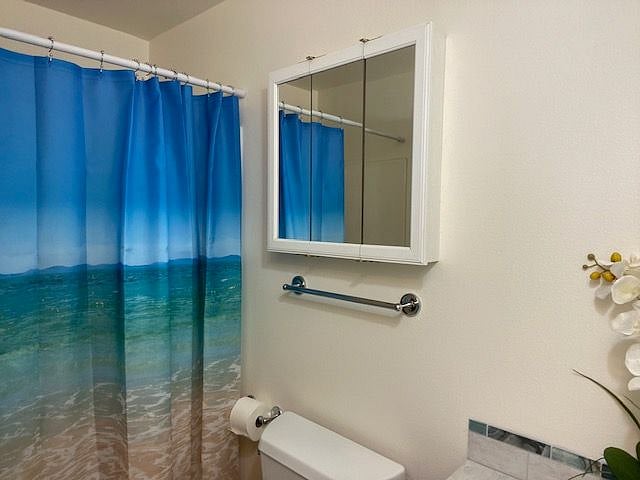 Full Hallway Bathroom