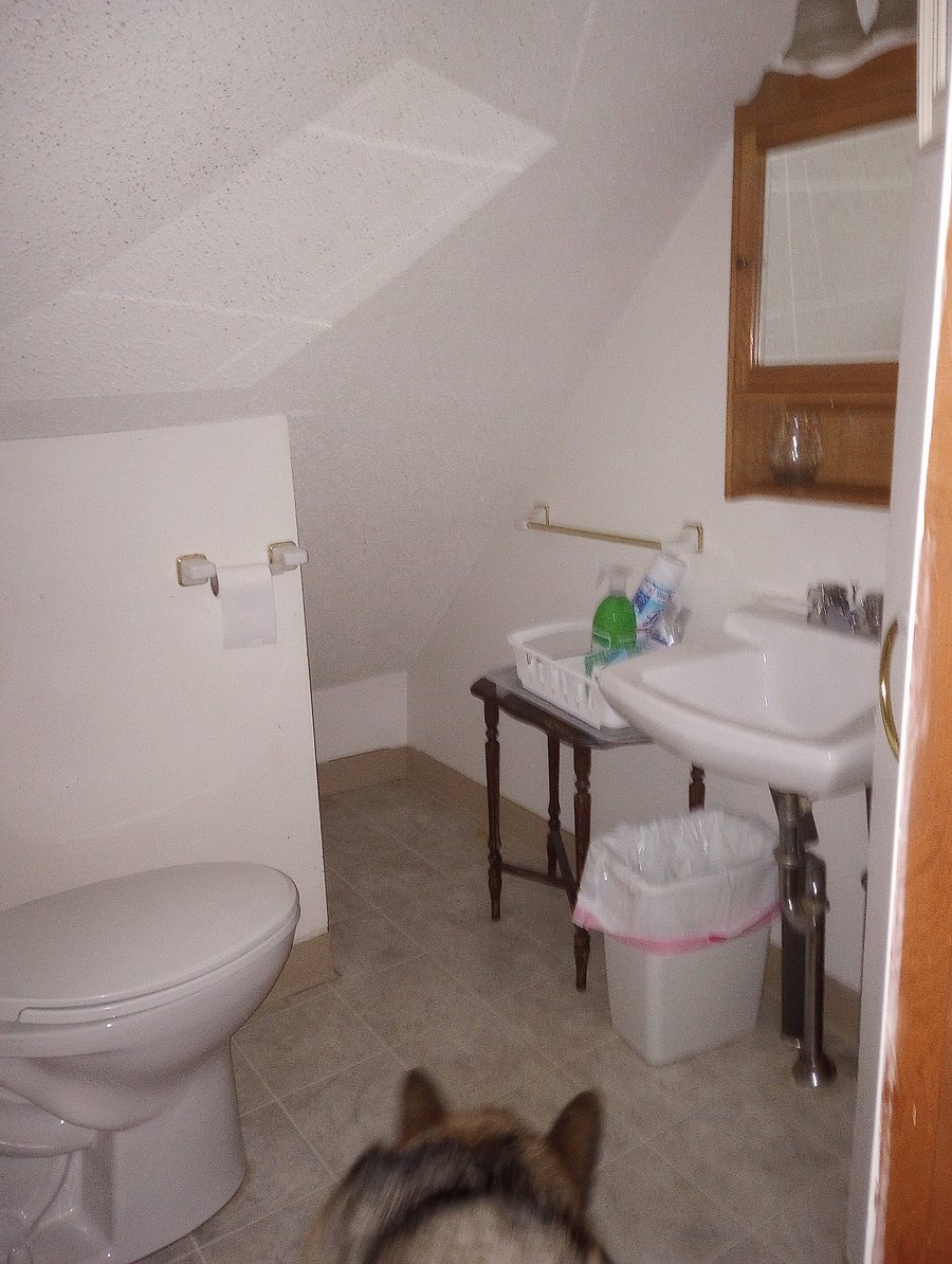 Furnished Finder property 541461_1 photo 5