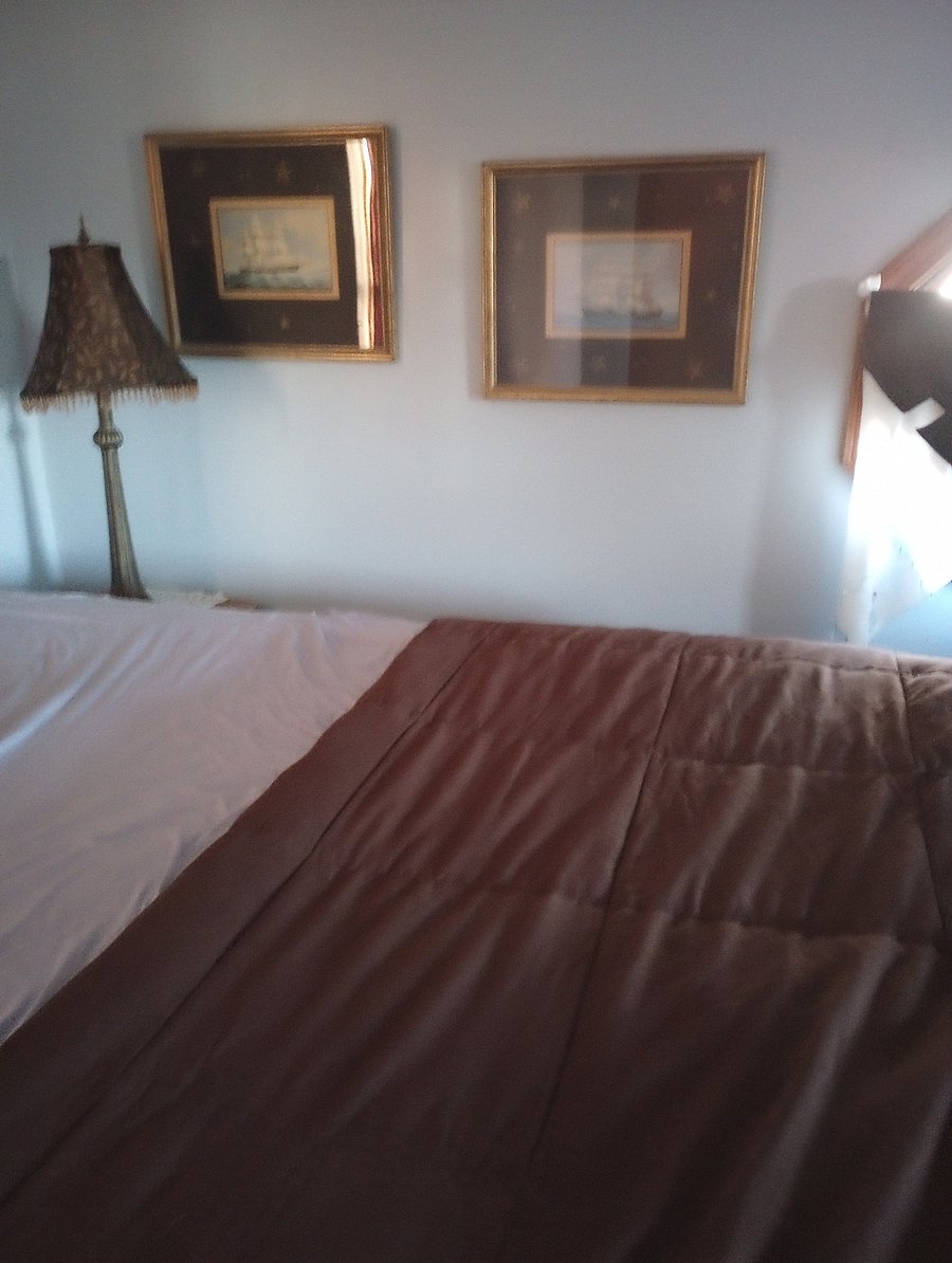 Furnished Finder property 541461_1 photo 9