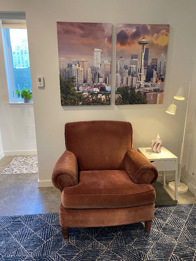 The coziest chair (main living area/space)