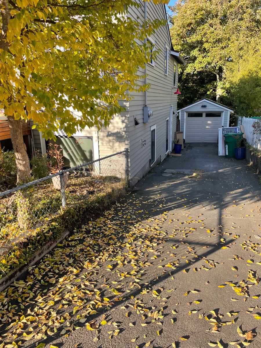 Driveway (note entry to downstairs unit)