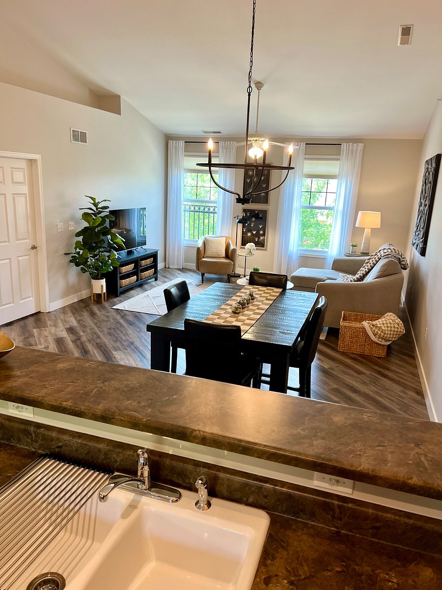 Furnished Finder property 541754_1 photo 11