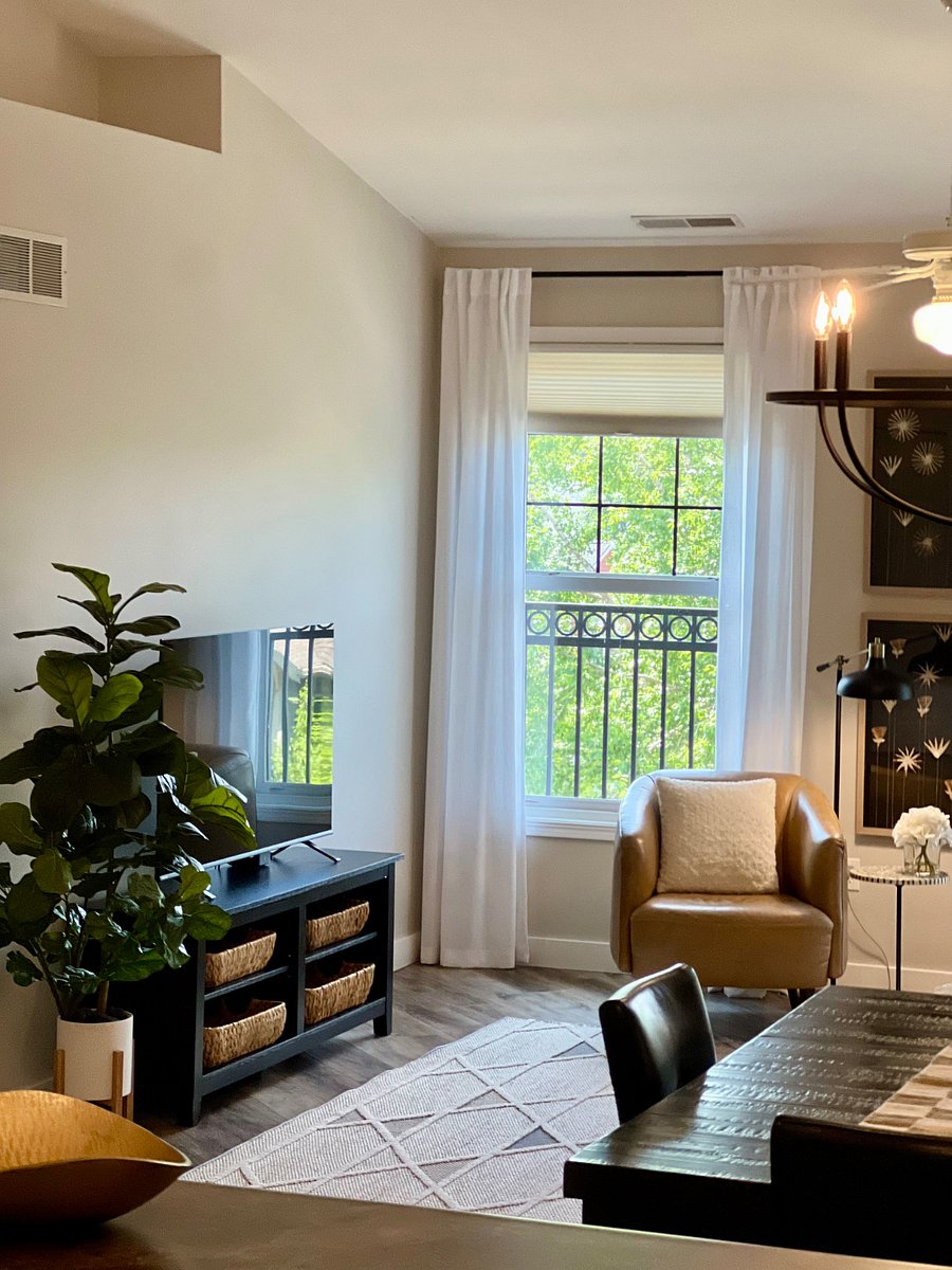 Furnished Finder property 541754_1 photo 7