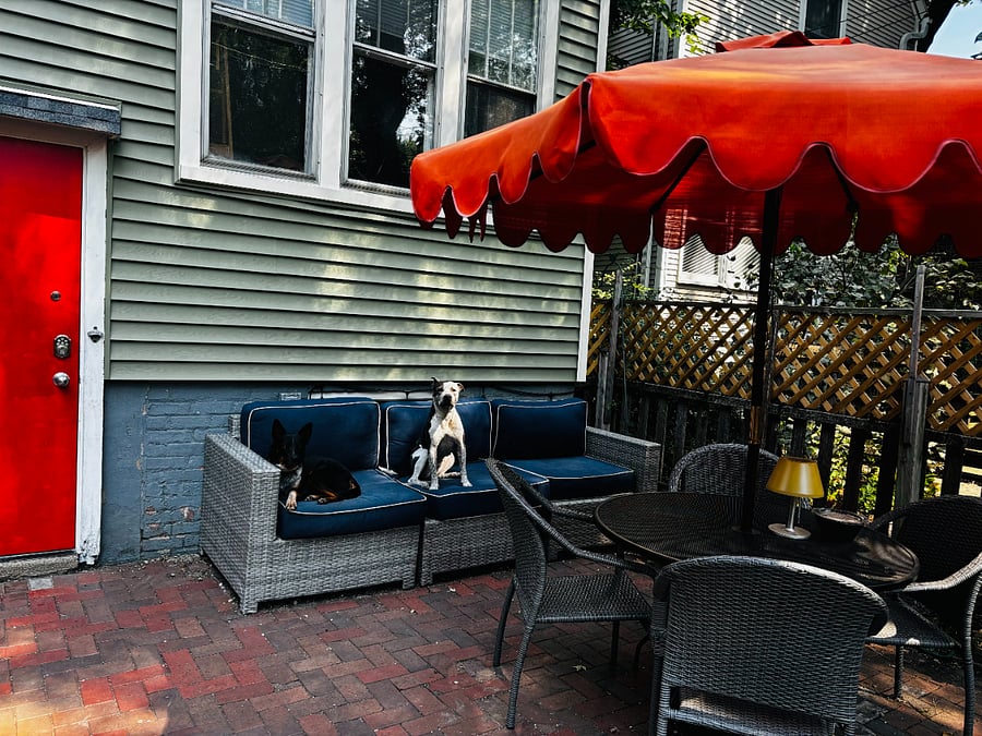 Furnished Finder property 541896_2 photo 18