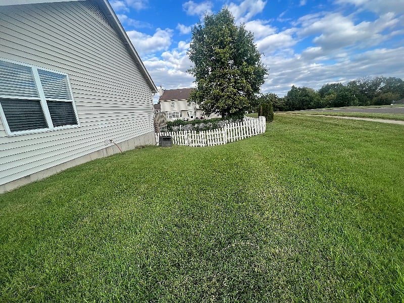 Furnished Finder property 542135_1 photo 21