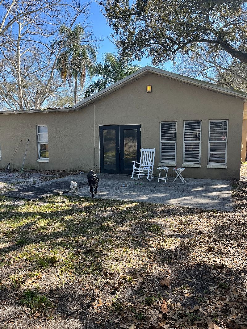 Back yard (pets not included! LOL)