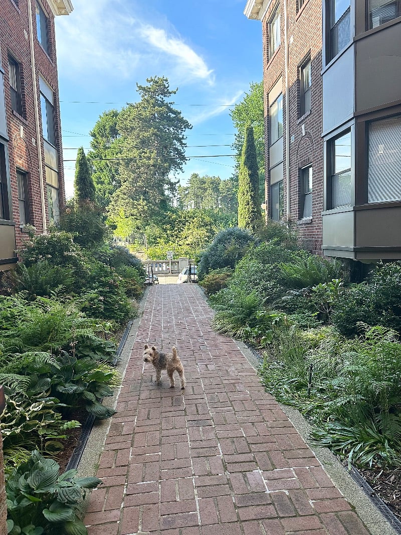 Building entry courtyard