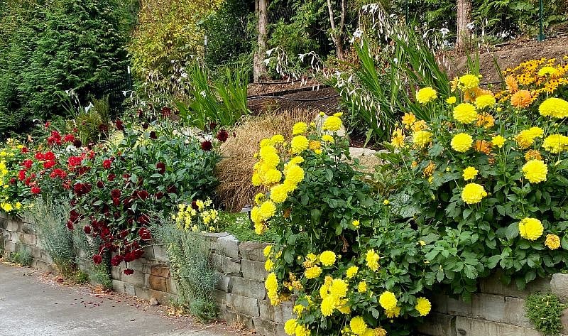 Property gardens