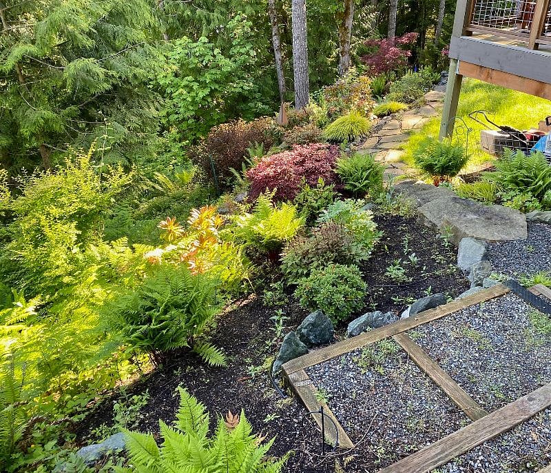 The backyard