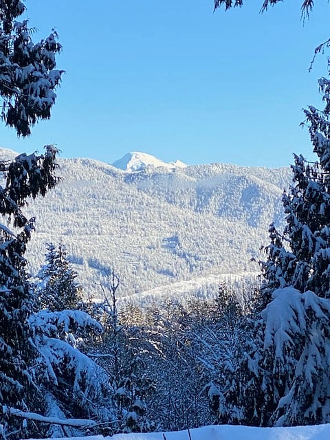 View from our property in the winter :)