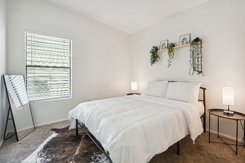 Furnished Finder property 542421_1 photo 19