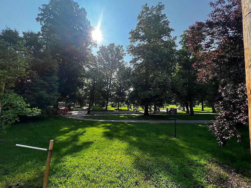 View of the park from the parking lot behind the building.