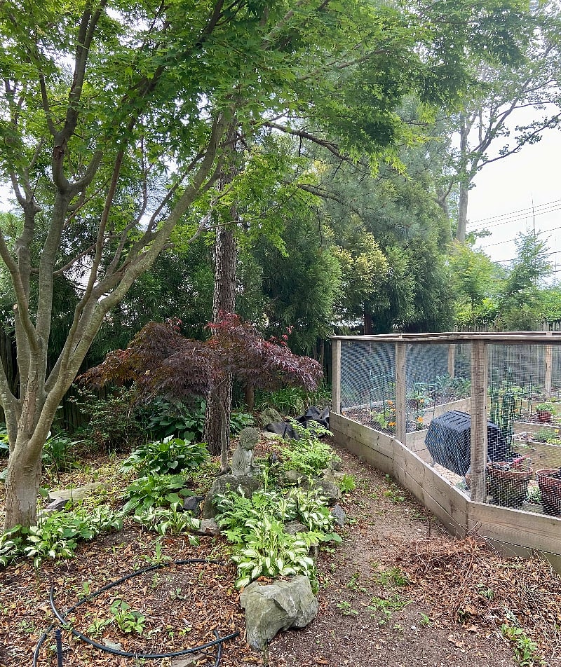 Furnished Finder property 542470_1 photo 12