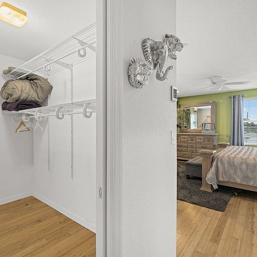 Furnished Finder property 542499_1 photo 17