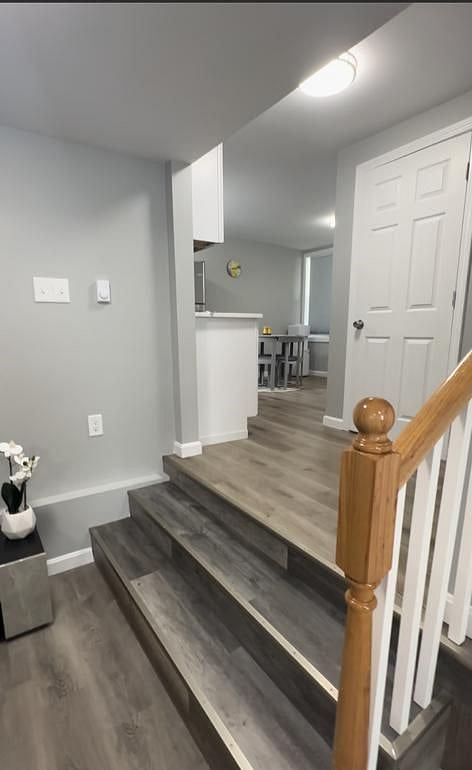 Furnished Finder property 542510_1 photo 11