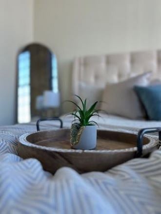 Modern Decor