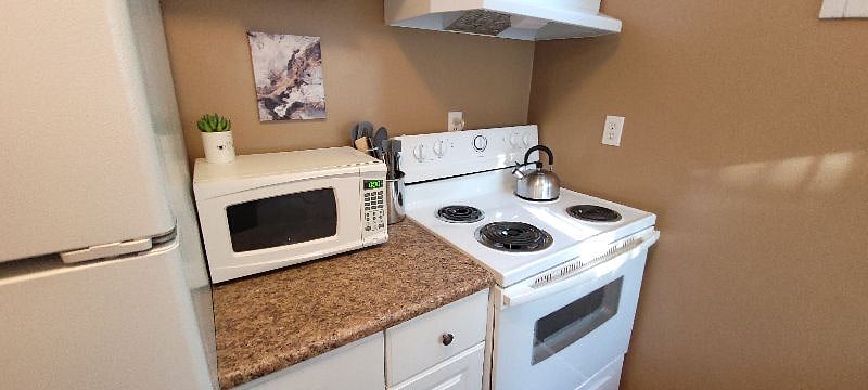 Furnished Finder property 542705_1 photo 10