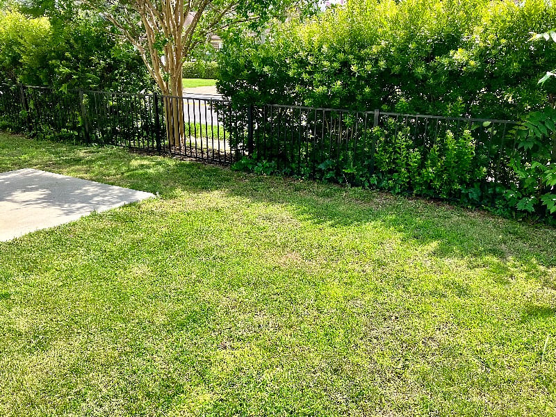 Furnished Finder property 542792_1 photo 38