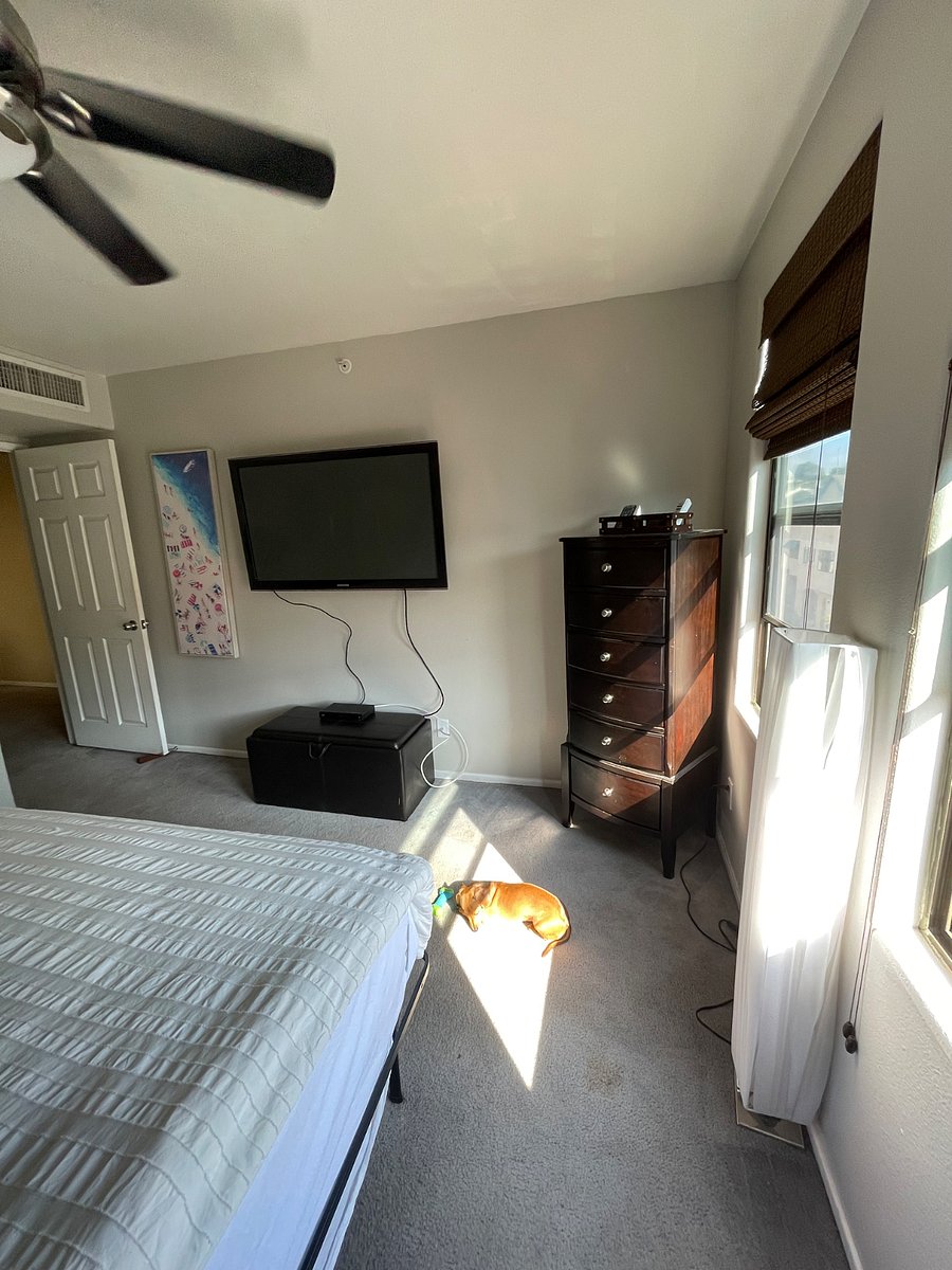 Furnished Finder property 542854_1 photo 20