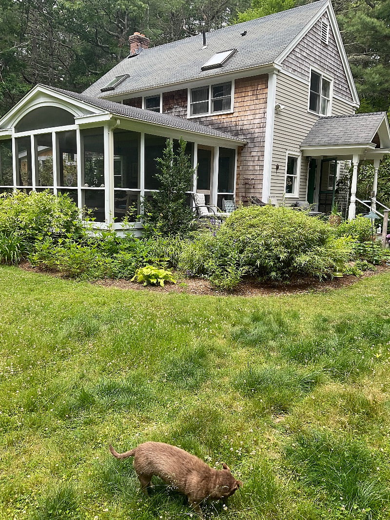 Furnished Finder property 542953_1 photo 3
