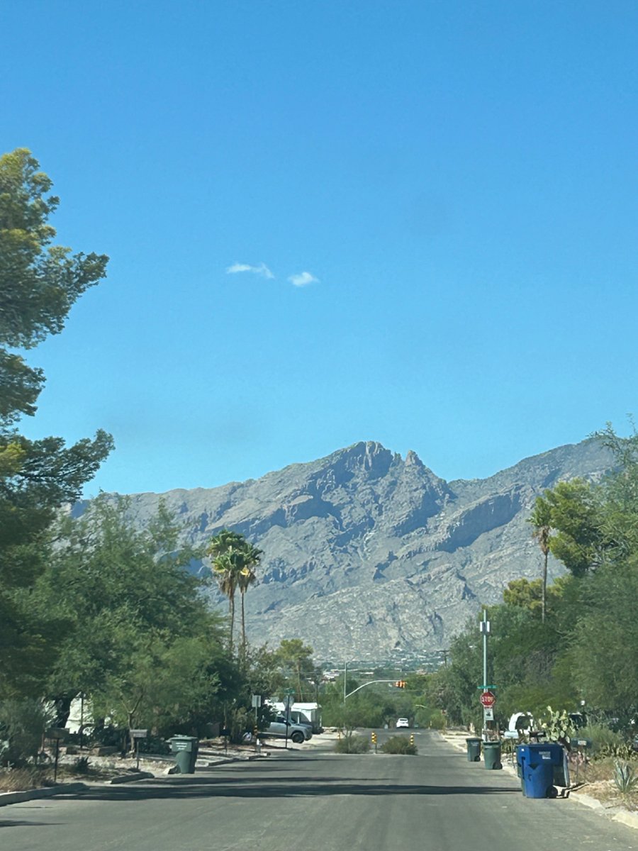 View of the Catalina Mountains from the street.