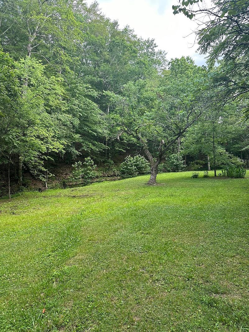 Furnished Finder property 543404_1 photo 4