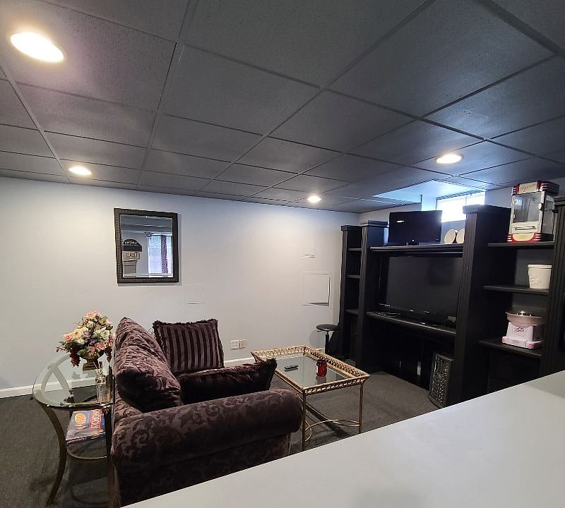 Basement Living Space