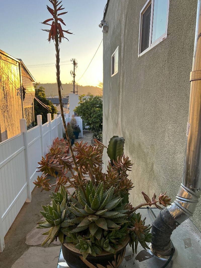 Furnished Finder property 543433_1 photo 23