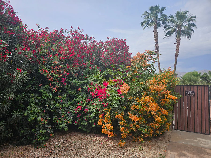 Furnished Finder property 543725_1 photo 28