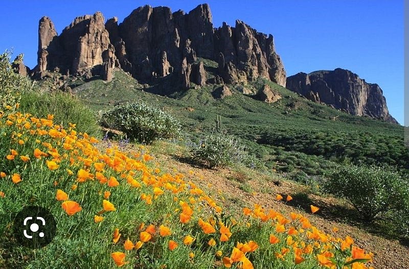 SUPERSTITION MOUNTAIN VIEW