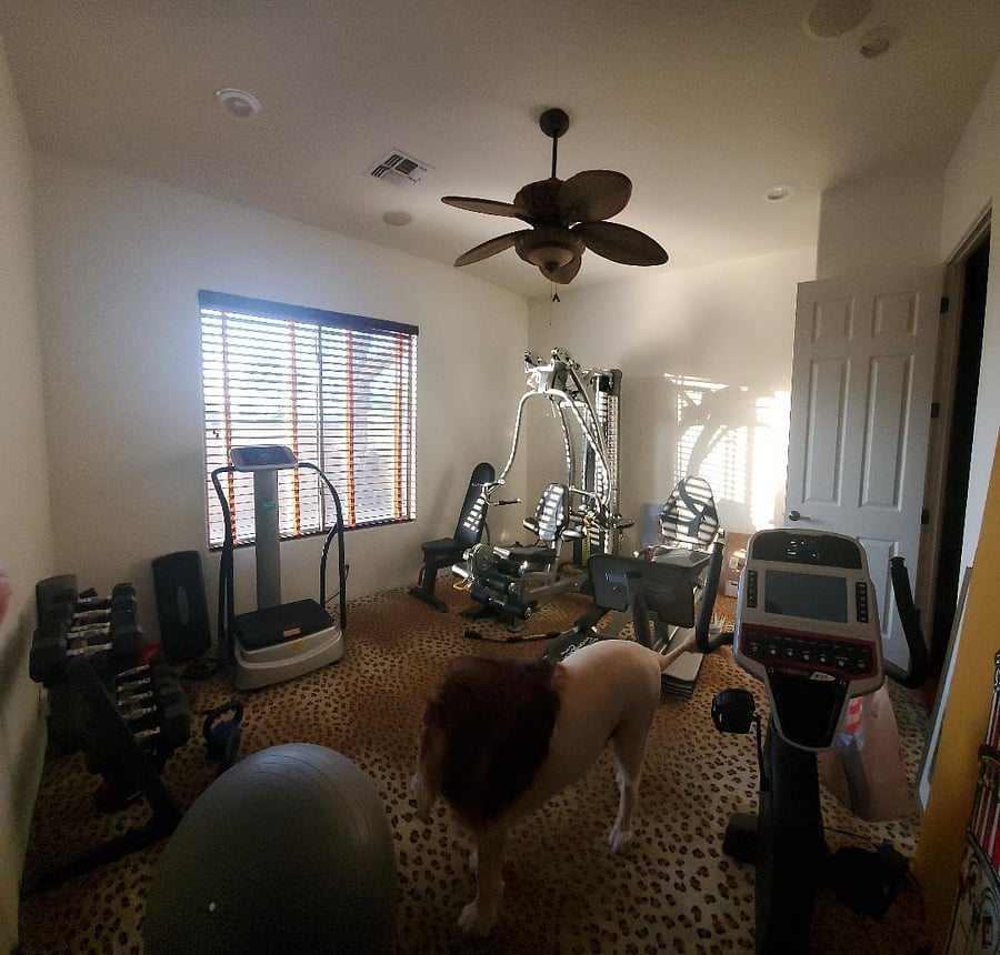 Workout Room