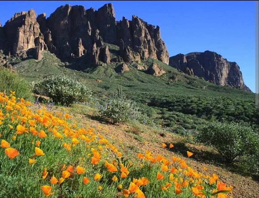 Spring Time Superstition Mountain 