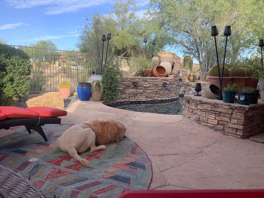 Backyard  Patio 