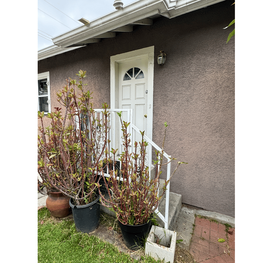 Furnished Finder property 543924_1 photo 11
