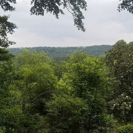 View from back deck