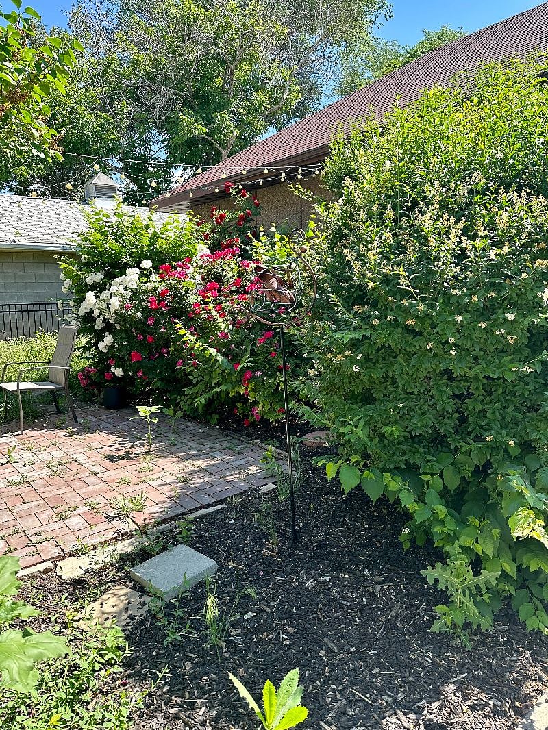 Furnished Finder property 544028_1 photo 12