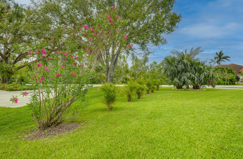 Furnished Finder property 544399_1 photo 31