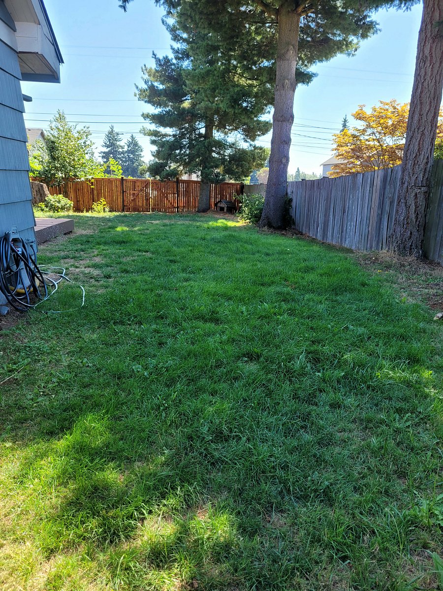 Furnished Finder property 544638_1 photo 40