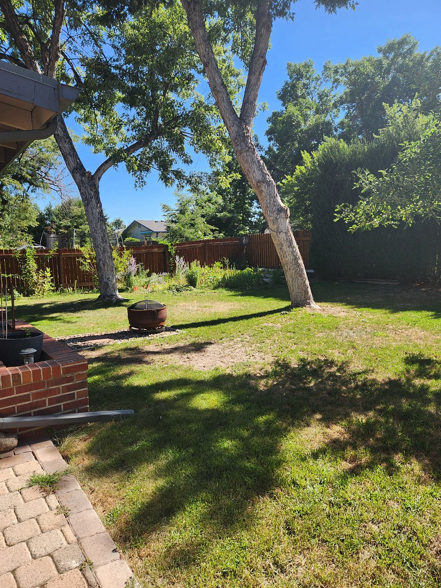 Large backyard