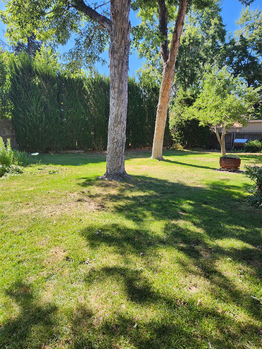 Furnished Finder property 544765_1 photo 14