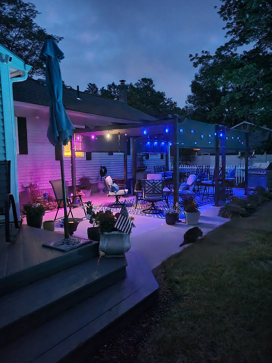 Patio in Summer